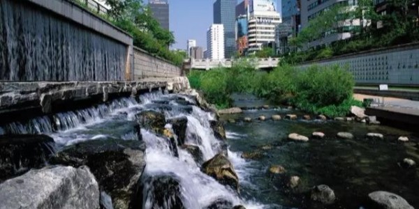 河道景觀設(shè)計(jì)秘籍：駁岸、親水、綠化、綜合治理、生態(tài)修復(fù)及植物選擇