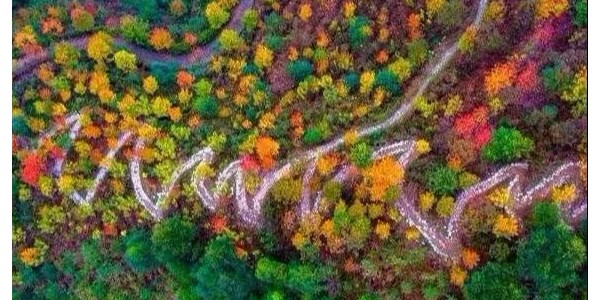 鄉(xiāng)村振興需避免這15個雷區(qū)！