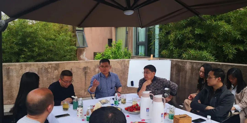 鄉(xiāng)村振興—青白江篇“杏花山上”項(xiàng)目策劃、規(guī)劃的專題會(huì)議