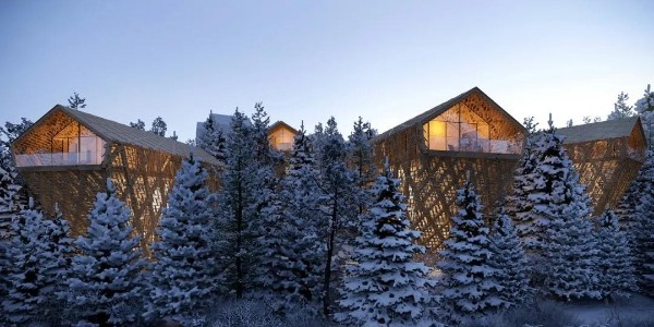 創(chuàng)新下的樹屋，太治愈了！