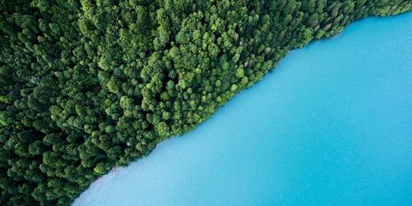 02|碳中和的機(jī)遇在哪？