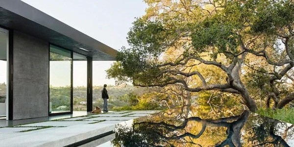 會種樹，讓設(shè)計具有高級感！