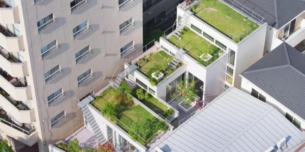 創(chuàng)造‘綠色’，東京層疊花園宅 / MAMM DESIGN