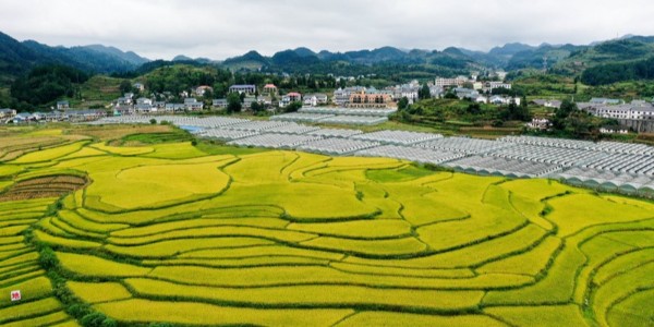 六部門聯(lián)合印發(fā)《中央財(cái)政銜接推進(jìn)鄉(xiāng)村振興補(bǔ)助資金管理辦法》