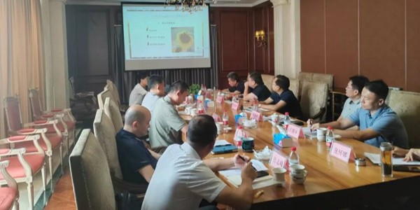 邢臺市新河縣人民政府縣長程玉峰一行蒞臨盛鵬達公司指導工作，共謀合作新篇章