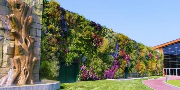 驚艷極了，還能這樣做綠化？