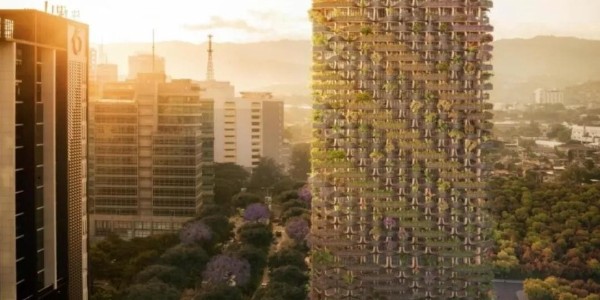 這才叫綠色建筑！用木頭代替鋼筋水泥，30000多植物栽在陽臺！