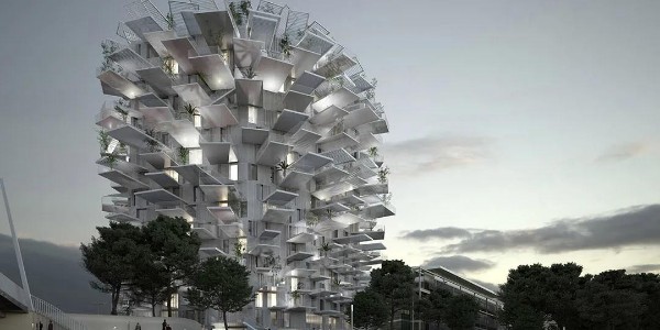 藤本壯介：白色巨樹